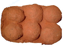 Clutch of Six Raptor Eggs